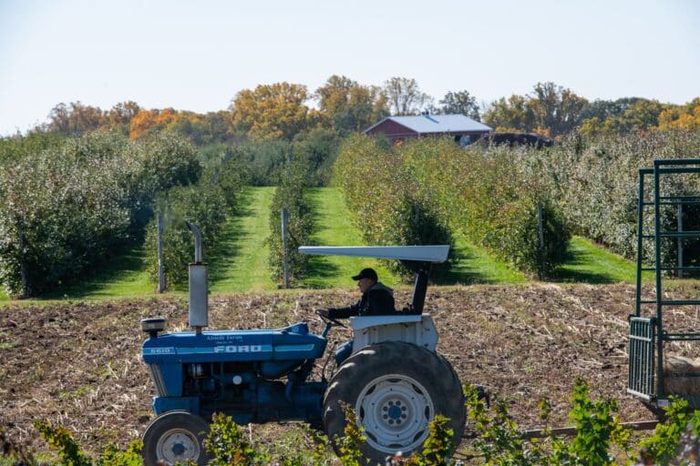 FACT CHECKED BY FLIK: GMOs