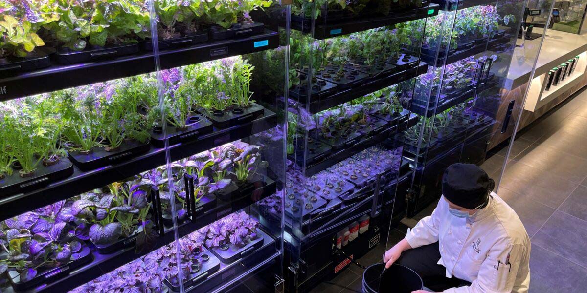 Indoor Micro-Farm