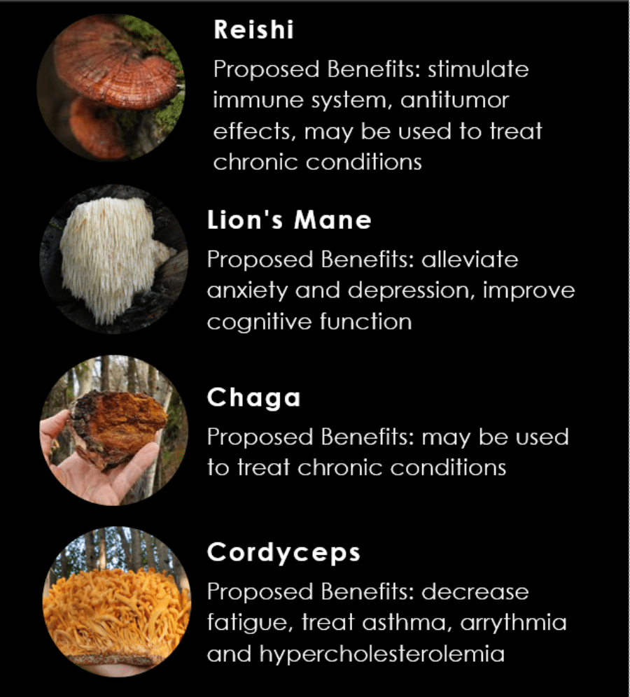 mushroom varieties in coffee